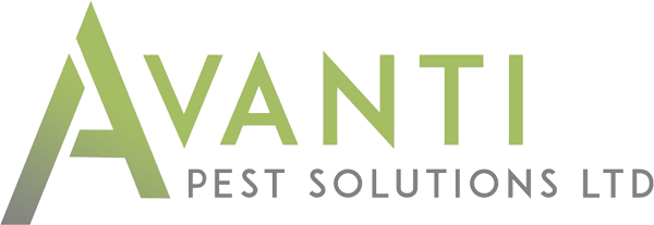 Avanti Pest Solutions Ltd